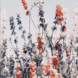 Meet your Posher, Leah